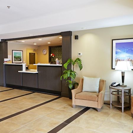 แคนเดิลวู้ด สวีท ซานอันโตนิโอ แอร์พอร์ต Hotel ภายนอก รูปภาพ